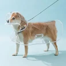 Capa de Chuva Pet Impermeável Proteção Cachorro Grande Médio Pequeno Porte Passeio Chuva LR-0180