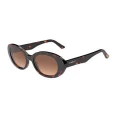 Óculos de Sol Colcci Feminino Bella Marrom /L Marrom Degradê