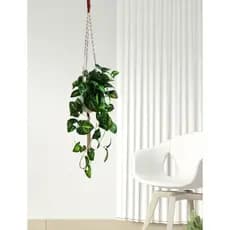Suporte Macrame Artesanal  + Pendente Folhagem Realista