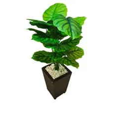 Planta Artificial Calathea Real + Vaso Grande Decorativo