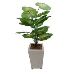 Planta Artificial Folhagem Calathea + Vaso Grande Decorativo
