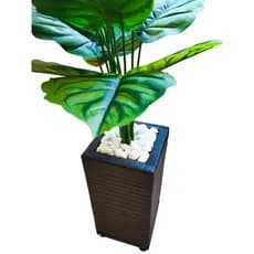 Planta Artificial Folhagem Calathea + Vaso Retangular Decorativo