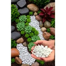 Pedra Branca Dolomita N 1 Vaso Jardim Aquário 2 Kg Branco Decoração