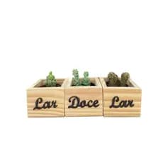 Trio Vaso Lar Doce Lar - Porta Vasinhos para Plantas / Suculentas em Madeira Pinus - Jardim - Decoração
