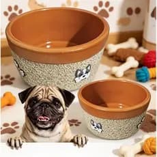 bebedouro e comedouro barro para cães e gatos