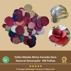 Folha Moeda Mista Seca Natural Decoração- 100 Folhas