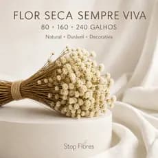 Flor Sempre Viva Seca Natural Para Vasos Buquês e Decoração