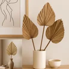 Folhas De Latania Seca Desidratadas Para Decoração e Arranjos