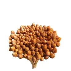 Galhos Mini Pinha Flor Seca Natural Para Arranjo E Decoração