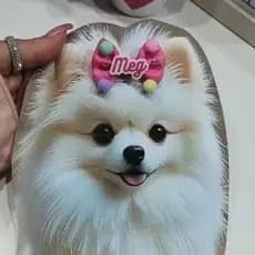 2 Lacinho Pet Com Nome Cachorro Silicone Coleira de Cachorro Laços