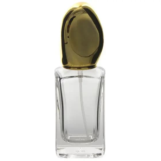Frasco Perfume Essências Vidro Luxo com Tampa Dourada Borrifador Spray Elegante Fragantica 30ml