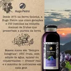 Kit 6 Suco de Amora e Uva Integral 300ml Hugo Pietro Sem Conservante Sem Corante