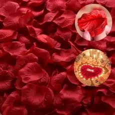 Pétalas de Rosas Artificiais Cor Vinho Decoração Casamento Festas Pedidos De Namoro