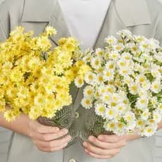 MINI Flores Artificiais De Margarida , Buquê Estético De Margaridas De Camomila Falsa Para Decoração De Casa , Peça Cent
