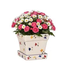 Cachepô Decorativo com Prato Para Plantas e Flores Jardim Horta Varanda