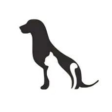 Mdf Quadro Decorativo Cachorro e Gato Pet love Quadro para sala de estar moderno quadro decorativo