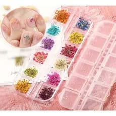 12 Cores Flores Secas para Unhas Nail Art Encapsulada Decoração Gel Acrílico