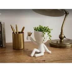 Vaso Robert Plant​Vaso  / Vaso deitado​Vaso Homenzinho Vaso Decorativo ModernoEnfeiteRbr Sc​Vaso Bonequinho​Vaso Bob