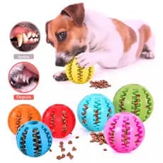 Pet Mordedor Bola Multifuncional Escova Mordedor Porta Petisco Pet Ball Boa Qualidade（23-13）