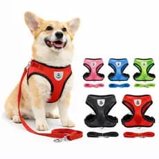 oleira Peitoral Ajustável + Guia 120cm para Cães e Gatos – Confortável e Seguro