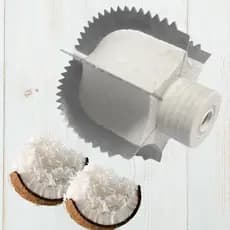 Pinhão Castanha Navalha Reforçado Para Raspador de Coco Manual Reposição