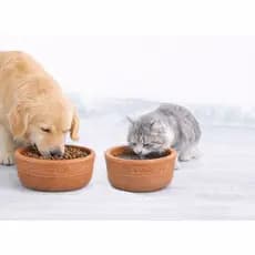 BEBEDOURO/COMEDOURO de Argila para Cães e Gatos Tamanho M (2)