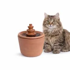 Bebedouro Fonte Cerâmica 2,5 litros para Gatos e Cachorro