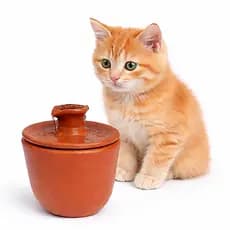 Bebedouro Fonte Cerâmica 2,5L Bivolt para Pets de pequeno e médio porte