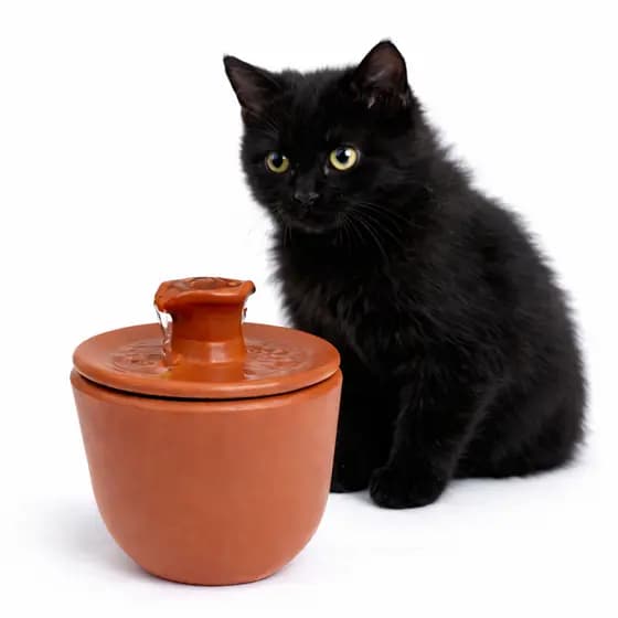 Fonte Bebedouro Automático Cerâmica 2,5L para Cães e Gatos