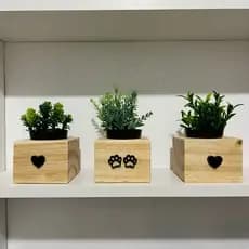 Vasos Decorativos Kit 3 Madeira Pinus Com Planta Artificial