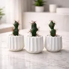 Kit Arranjo Cactus Suculenta Vaso Gesso Decorativo Sala, Escritório, Apartamento Decoração, Lembrancinha Casamento, Mesa