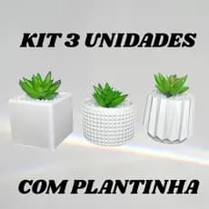 Kit 3 Unidades Vaso Decorativo de Gesso Texturizado para Suculentas, Cactus e Plantas