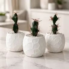 Kit Arranjo Cactus Suculenta Vaso Gesso Decorativo Sala, Escritório, Apartamento Decoração, Lembrancinha Casamento, Mesa