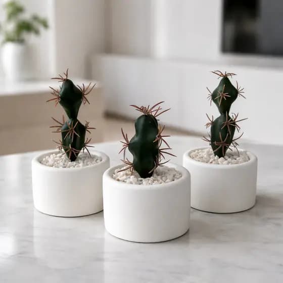 Kit Arranjo Cactus Suculenta Vaso Gesso Decorativo Sala, Escritório, Apartamento Decoração, Lembrancinha Casamento, Mesa