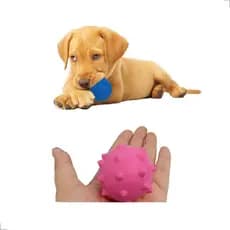 Brinquedo Mordedor Bola Cravo 4,5 para Cachorro Brinquedo Cachorro Pequeno Porte Resistente