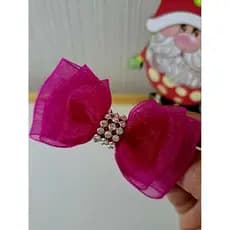 Laço de Organza