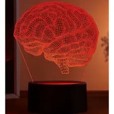 Luminária cérebro Led 3D, neurologista, Anatomia, corpo humano, com opção de nome gravado