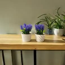 Planta Artificial em Vaso de Cerâmica Modelos Sortidos -Toyko Design