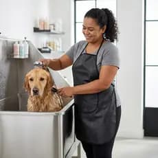 Avental Impermeável Banho e Tosa Pet Shop Prova de Água Com Bolso Preto