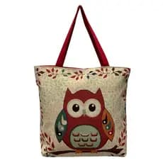 Bolsa de Coruja Grande Escola Faculdade Praia Passeio