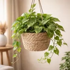 Cesto Vaso Cachepo de Palha Suspenso para Plantas 13x19x63cm | Vaso Decorativo Natural para Sala, Varanda e Jardim