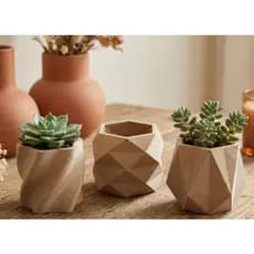 Vasos Geométricos - Viver Arquitetado - Mini Cachepô - Suculentas/Cactos