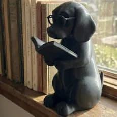 Cão Intelectual Lendo Livro – Decoração Criativa e Sofisticada para Mesa, Estante e Biblioteca