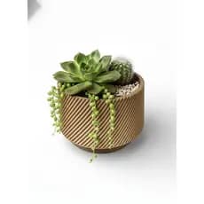 Kit c/3 Mini Cachepô para Suculentas e Cactos 6cm | Vários Modelos | Preto Branco Caramelo | Decoração Mesa e Escritório