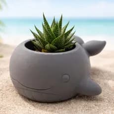 Vaso Baleia para Suculentas e Cactos – Decoração Criativa e Encantadora que Transforma o Ambiente