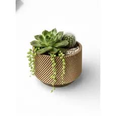 Kit com 3 Mini Cachepô sortidos para Suculentas e Cactos 6cm | Vários Modelos | Preto Branco Caramelo | Decoração