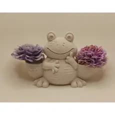 Vasinho de Sapo para Suculentas e Cactos - Decoração Criativa Oferta Limitada