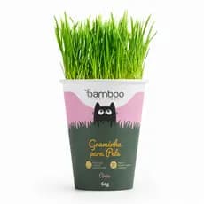 Graminha Para Gatos Vaso Bamboo Aveia Natural 60g Digestiva Antibolas De Pelo Pet Saudável