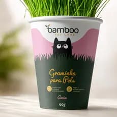Graminha Para Gatos Vaso Bamboo Digestiva Natural 60g