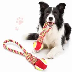 Brinquedo Mordedor Corda com Bola de Tênis para Cães Pet Cabo de Guerra